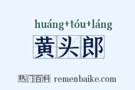 黄头郎是什么意思的图片